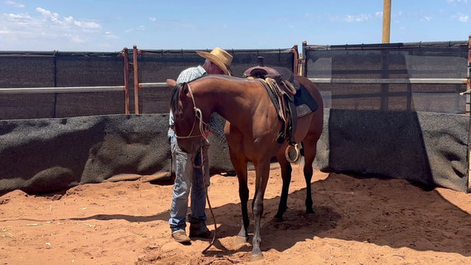 Delamak Spinning Brooke